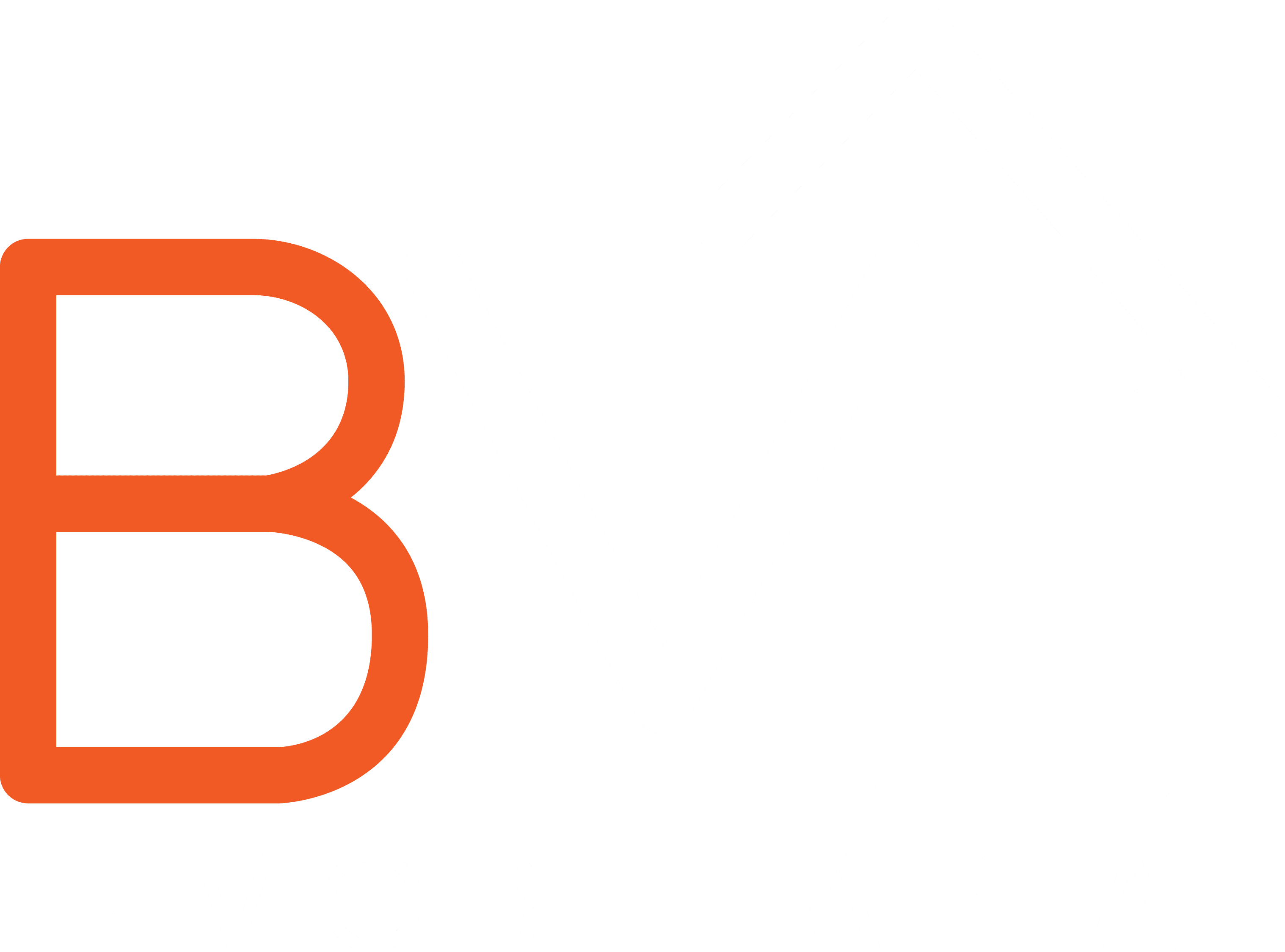 BM Inmobiliaria